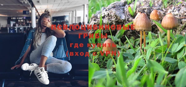 мяу мяу мука Новокубанск