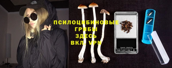 mdpv Новодвинск