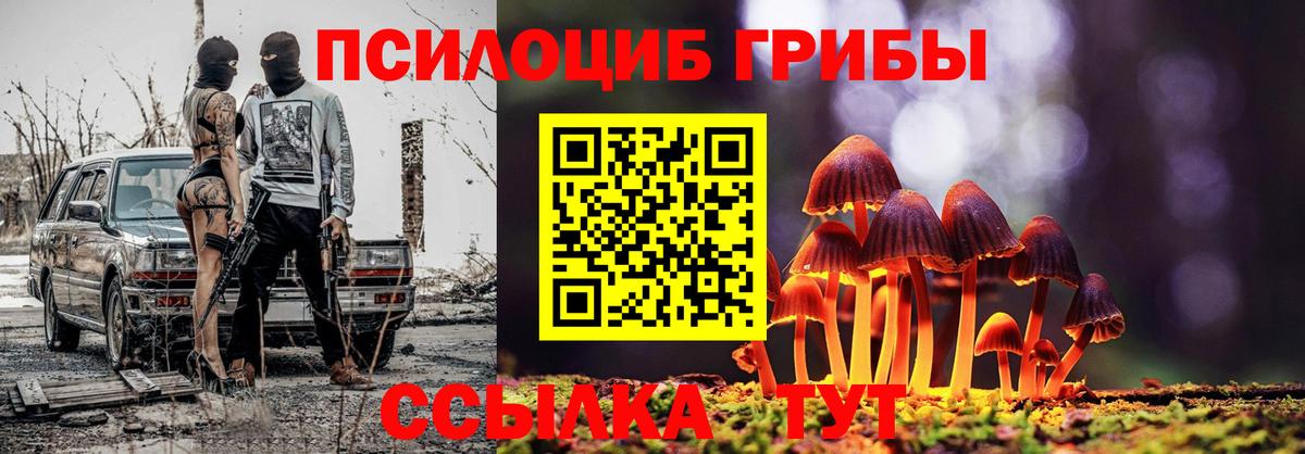 Новотроицк  Галлюциногенные грибы Psilocybe  Вход с VPN 